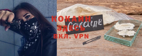 дживик Верхний Тагил