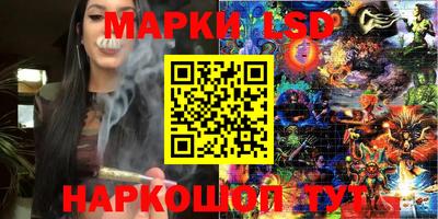 Альфа ПВП Кандалакша