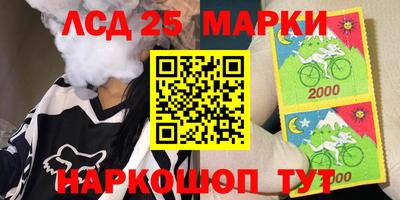 Альфа ПВП Кандалакша