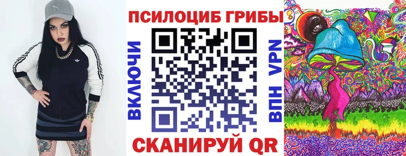 купить закладку  Мариинск  Псилоцибиновые грибы Psilocybine cubensis 