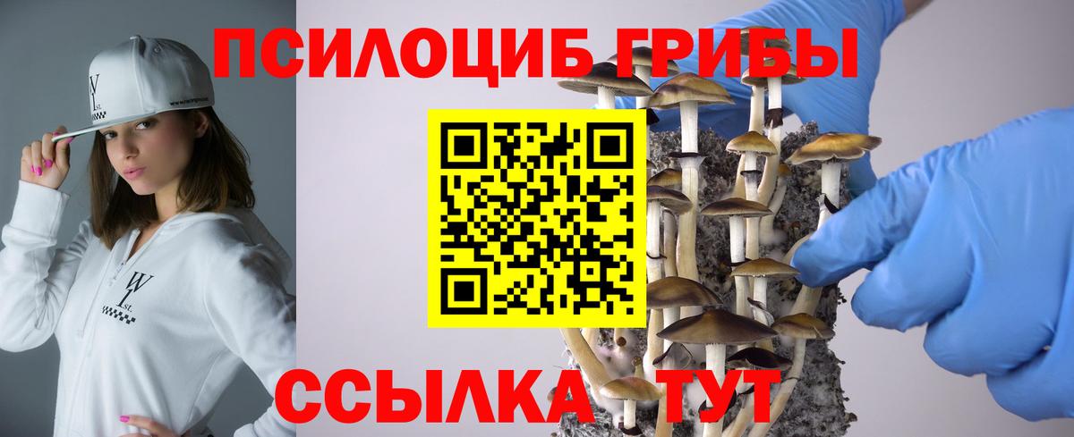 Псилоцибиновые грибы ЛСД Мариинск