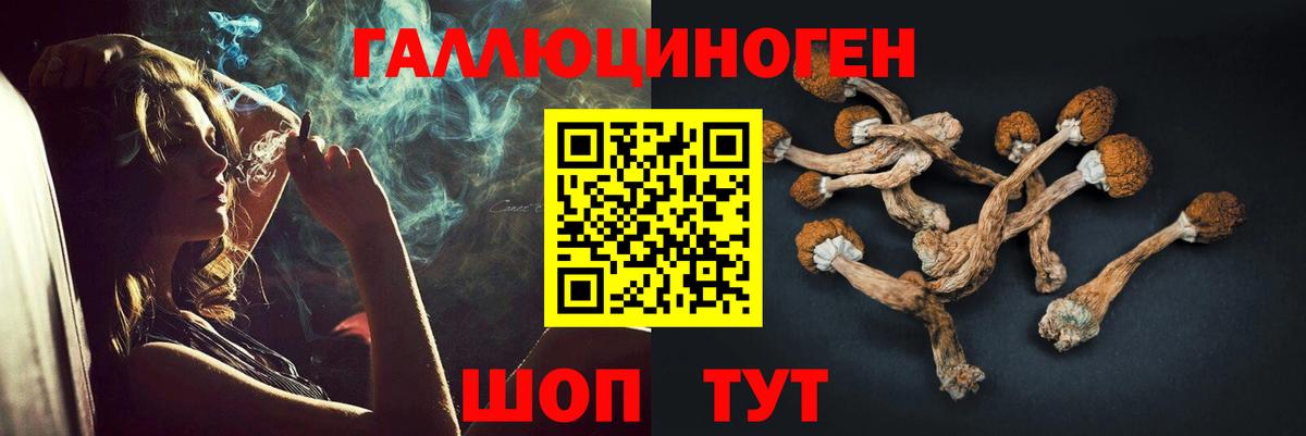 Галлюциногенные грибы прущие грибы  дарнет шоп  Псилоцибиновые грибы ЛСД  Мариинск 