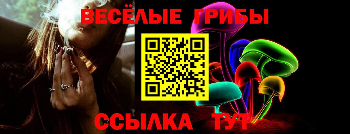 Мариинск  Галлюциногенные грибы мицелий  Вход с VPN 